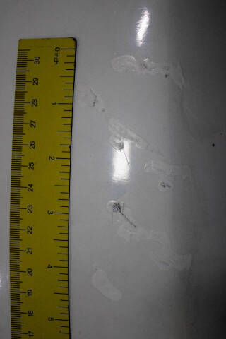 2008 Mazda RX-8 Sport