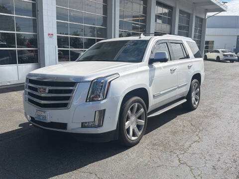 2019 Cadillac Escalade Luxury