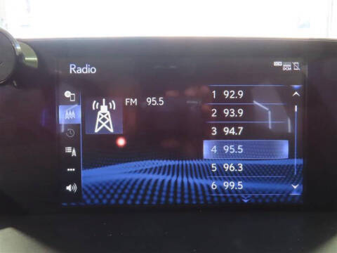 2019 Lexus NX 300 F SPORT