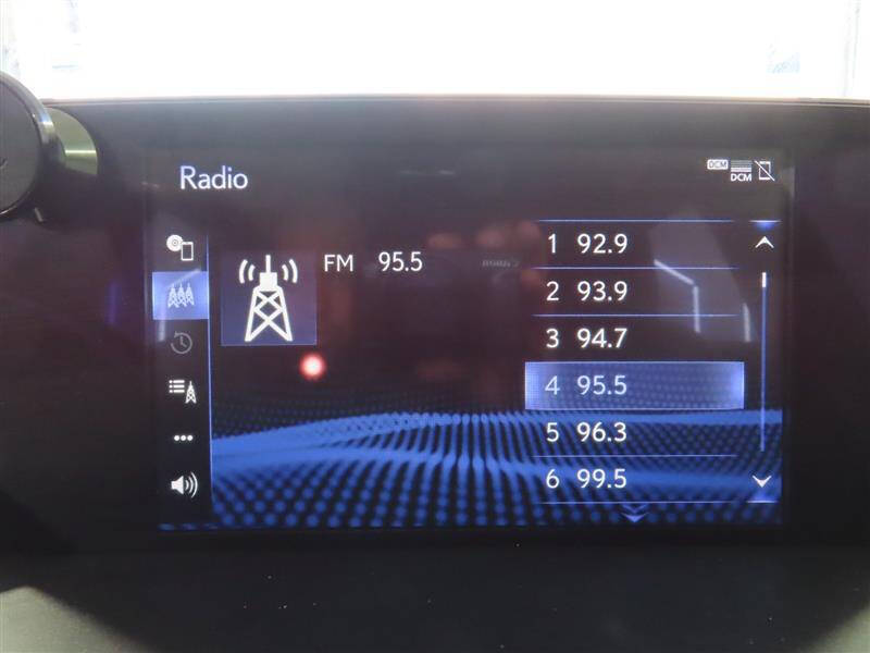 2019 Lexus NX 300 F SPORT