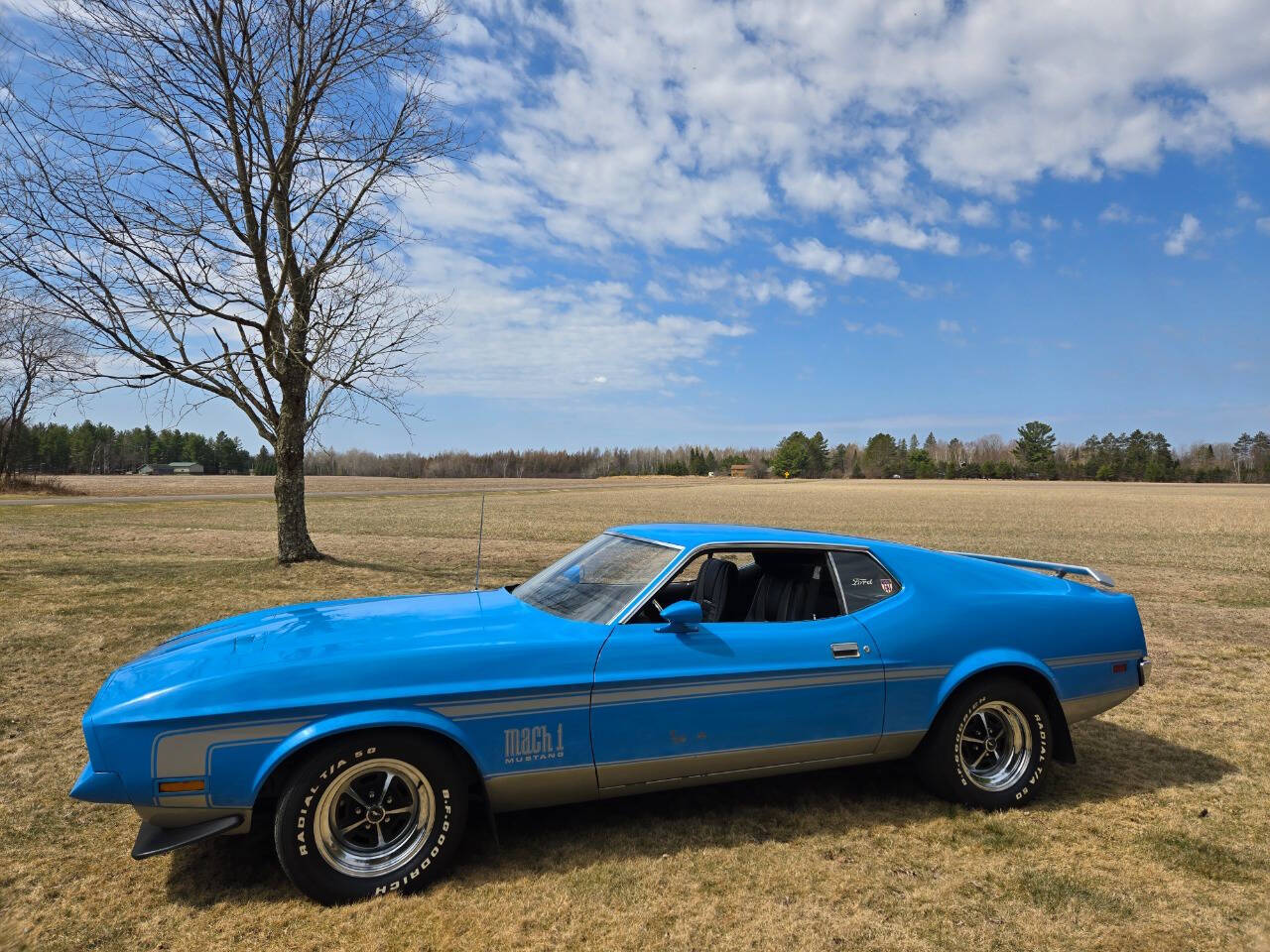 1971 Ford Mustang 14