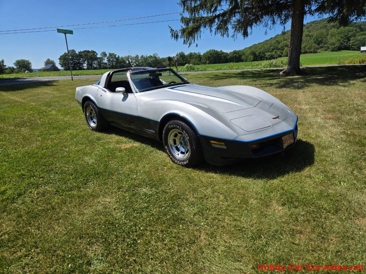 1981 Chevrolet Corvette 7