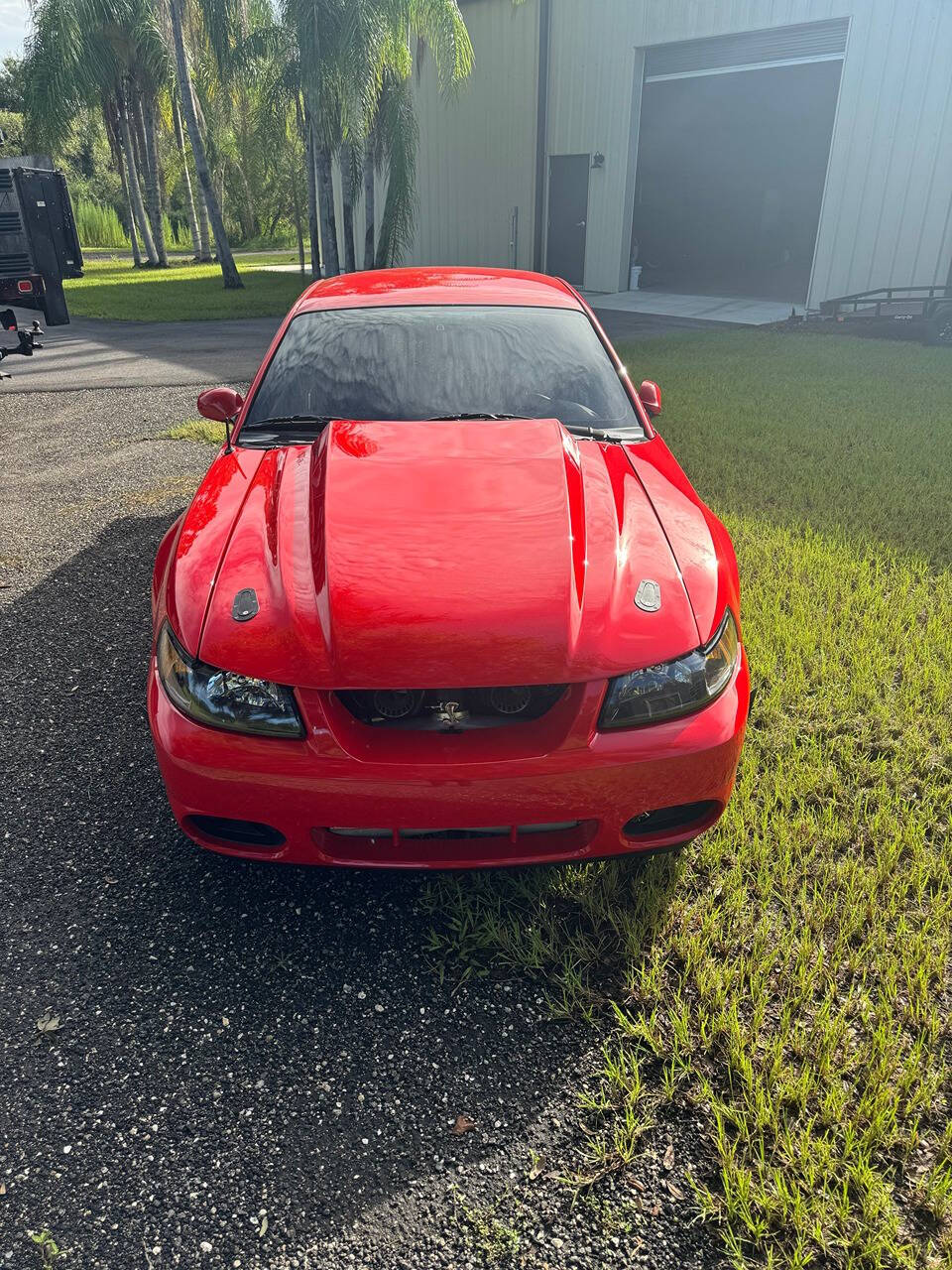 2003 Ford Mustang SVT Cobra for sale at SRQ Full Throttle Power Sports in BRADENTON, FL