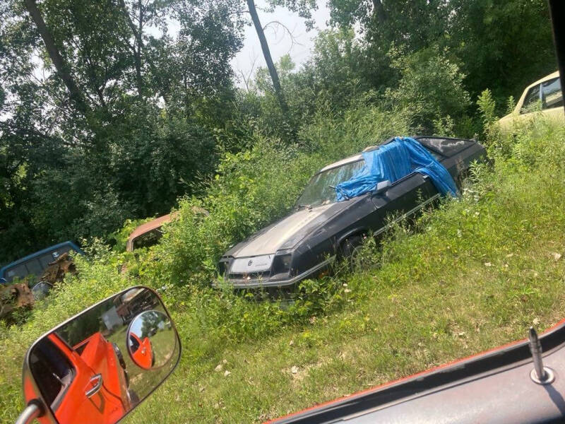 1984 Dodge Charger Shelby
