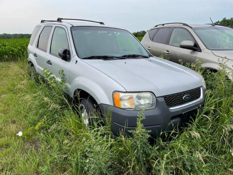 2006 Ford Escape for sale at Alan Browne Chevy in Genoa IL