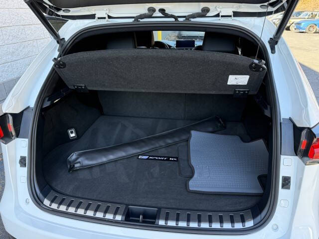 2021 Lexus NX 300 F SPORT