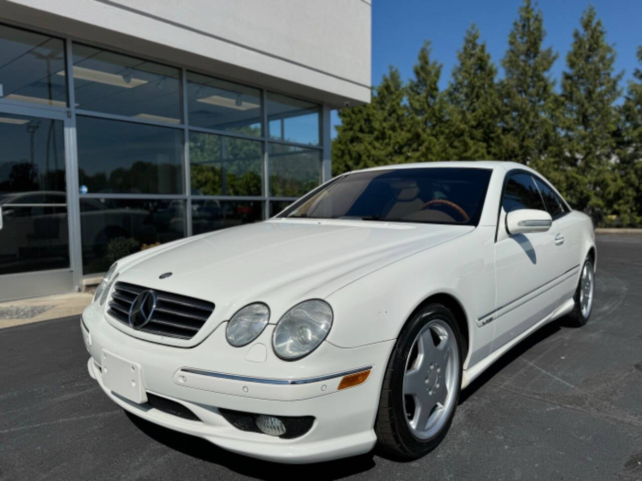 2002 Mercedes-Benz CL-Class for sale at Opus Motorcars in Utica, MI