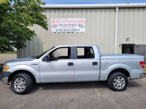 2009 Ford F-150 for sale at C & C Wholesale in Cleveland OH