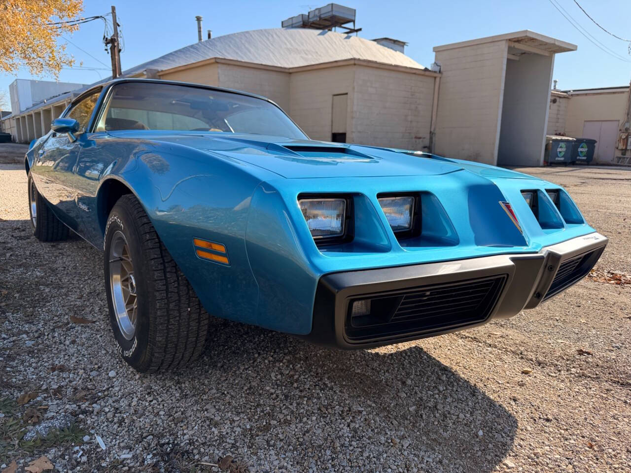 1979 Pontiac Firebird 34