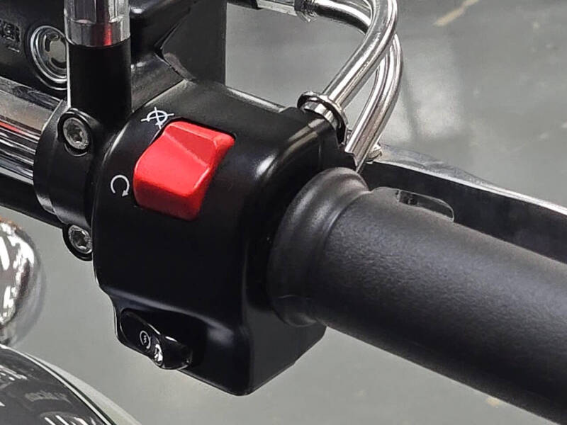 2024 Kawasaki Vulcan 900 Classic