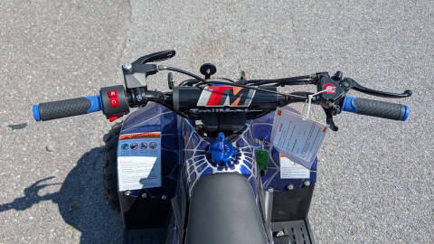 2025 TrailMaster Mini 110 Sport