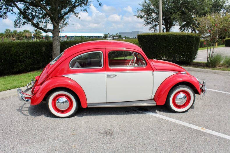 1964 Volkswagen Beetle