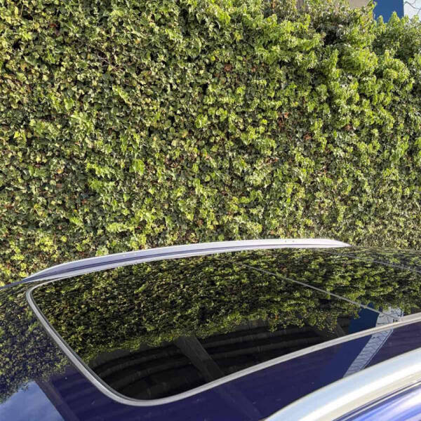 2021 Audi Q3 quattro S line Premium 45 TFSI