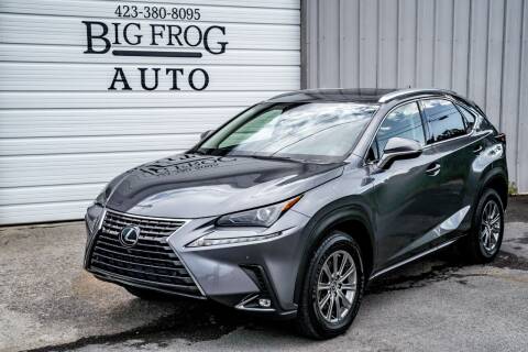 2020 Lexus NX 300 for sale at Big Frog Auto in Cleveland TN