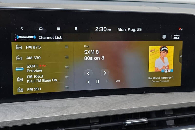 2024 Kia Telluride SX-Prestige X-Line