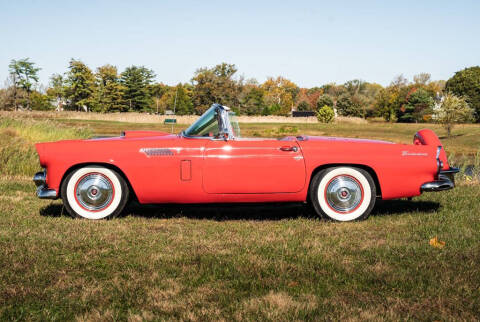 1956 Ford Thunderbird