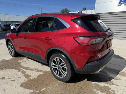 2022 Ford Escape SEL