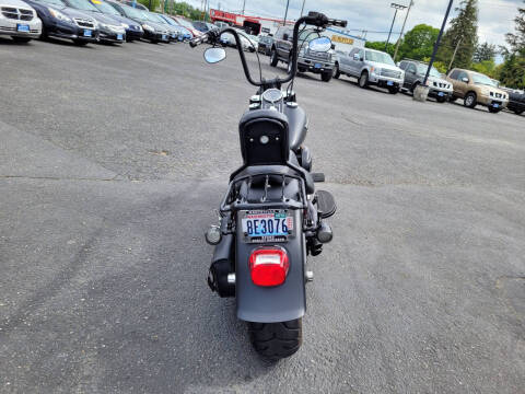 2015 Harley-Davidson FLSTFB