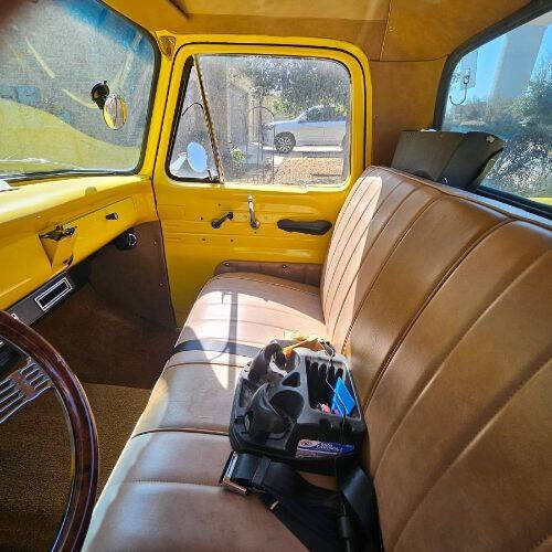 1965 Ford F-100