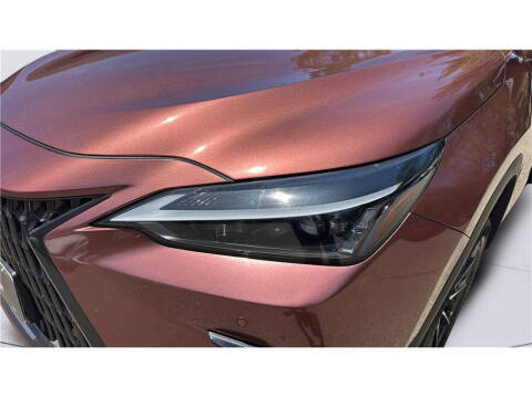 2025 Lexus NX 250