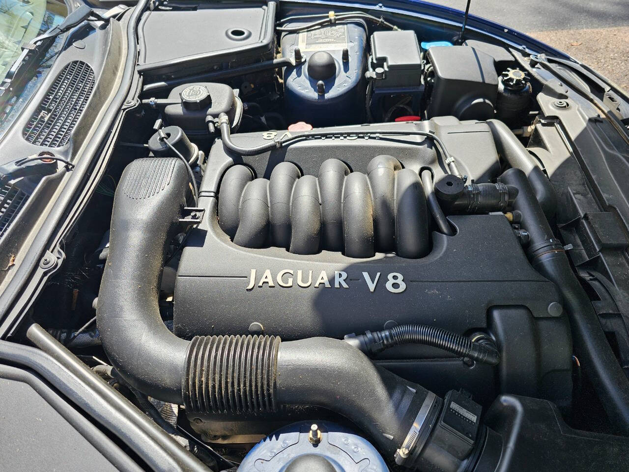 1998 Jaguar XK-Series 177