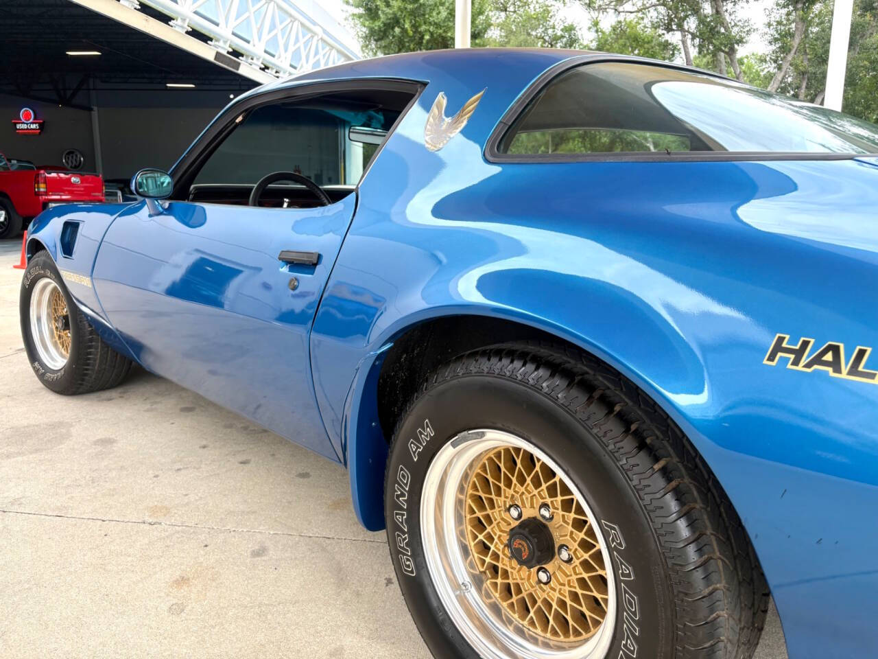 1979 Pontiac Firebird 14