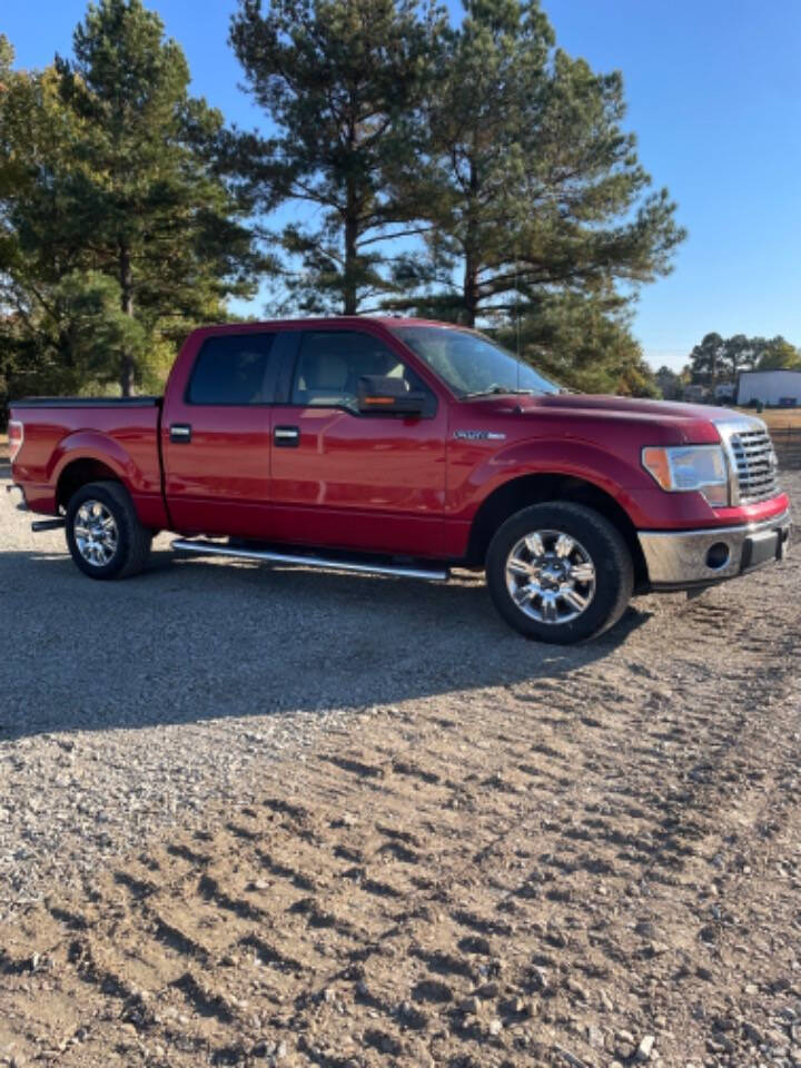 2010 Ford F-150 for sale at Cove Creek Motors LLC in Damascus, AR