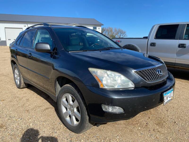 2004 Lexus RX 330 for sale at RDJ Auto Sales in Kerkhoven MN