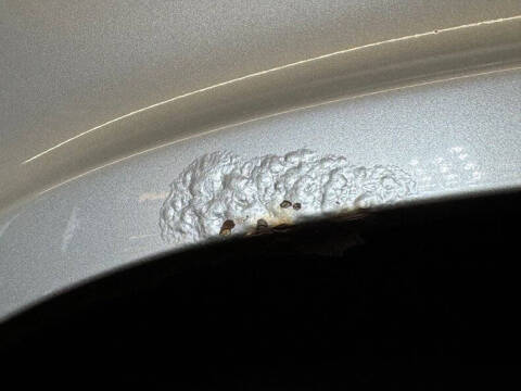 1993 Chevrolet Chevy Van G20