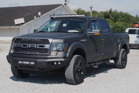 2010 Ford F-150 for sale at Low Cost Cars in Circleville OH