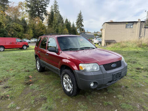 2007 Ford Escape XLT