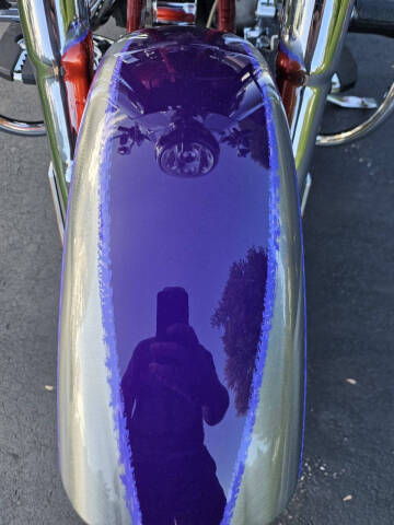 2006 Harley-Davidson FLSTFSE2