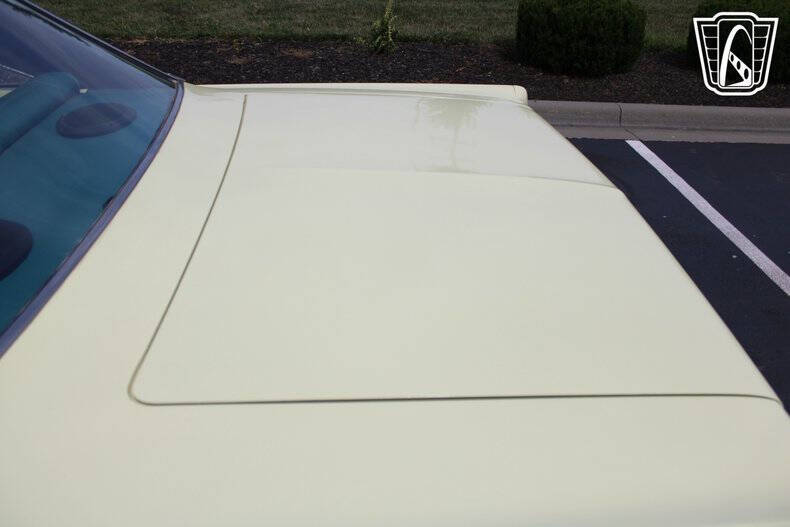 1966 Plymouth Belvedere