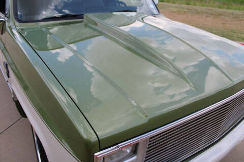 1981 Chevrolet C/K 10 Series
