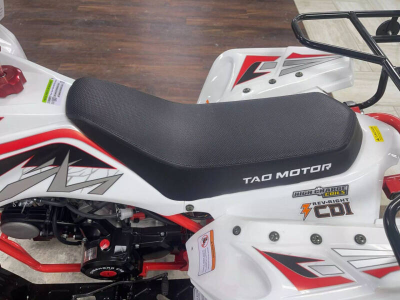 2025 TAO CHEETAH (G125)