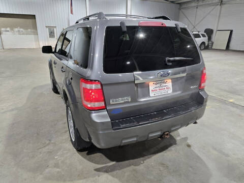 2009 Ford Escape Limited
