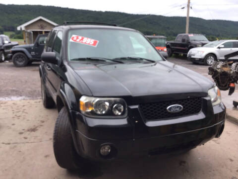 2007 Ford Escape for sale at Troy's Auto Sales in Dornsife PA