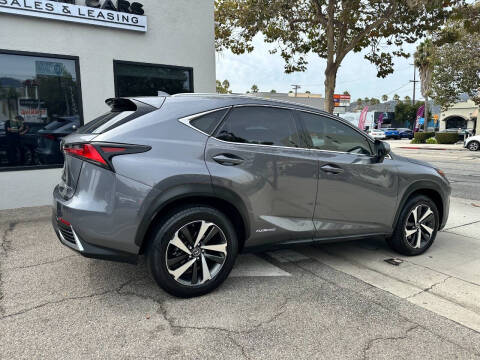 2021 Lexus NX 300h