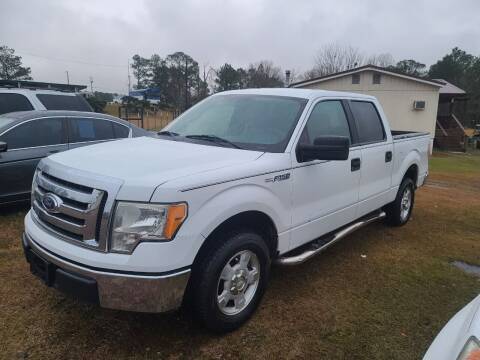 2010 Ford F-150 for sale at Lakeview Auto Sales LLC in Sycamore GA