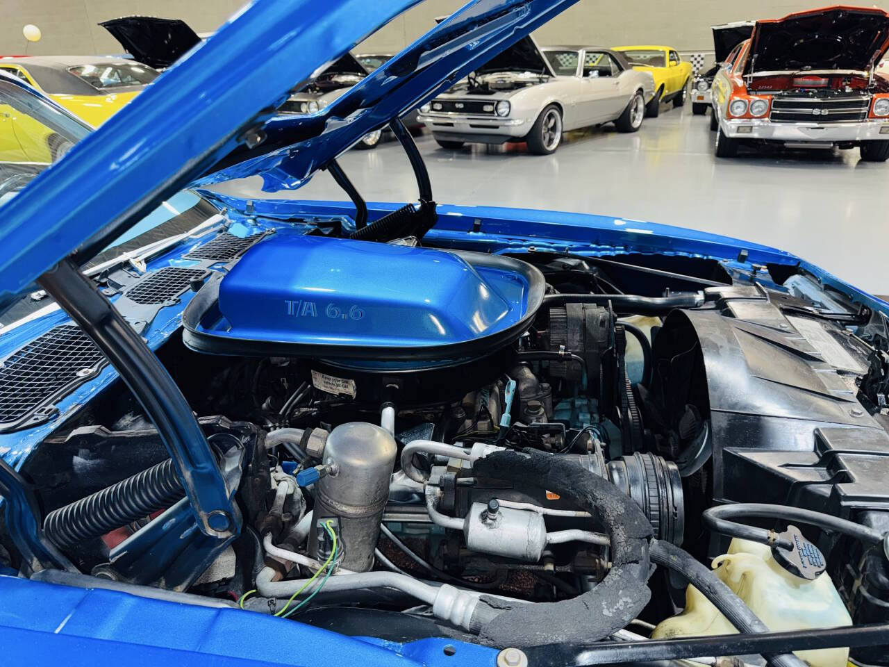 1978 Pontiac Trans Am 77