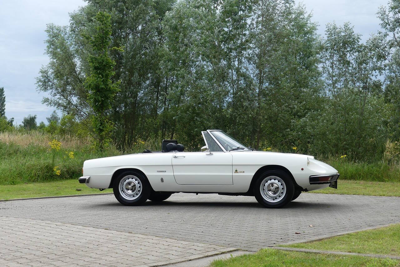 1977 Alfa Romeo Spider for sale at Flemingstoke in Costa Mesa, CA