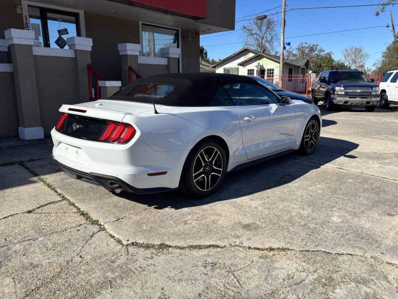 2019 Ford Mustang
