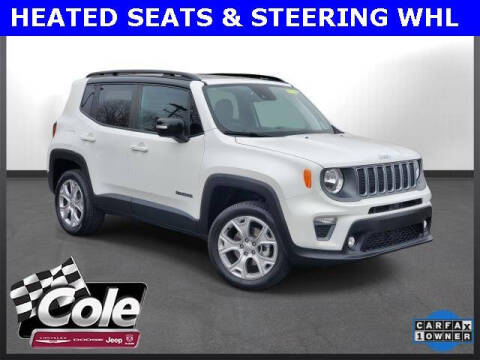 2022 Jeep Renegade for sale at COLE Automotive in Kalamazoo MI