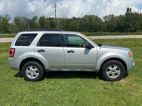 2009 Ford Escape XLT