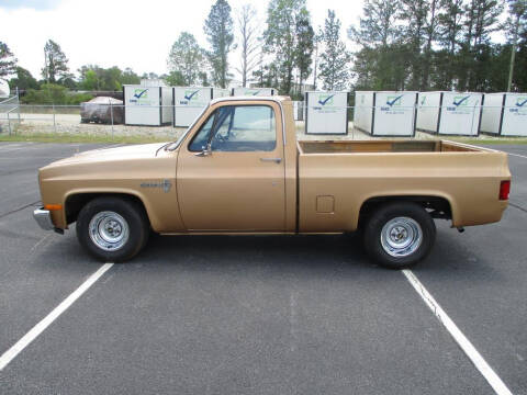 1981 Chevrolet C/K 10 Series for sale at Big O Street Rods in Bremen GA