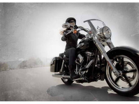 2014 Harley-Davidson Switchback