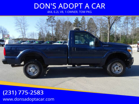 2014 Ford F-250 Super Duty for sale at DON'S ADOPT A CAR in Cadillac MI