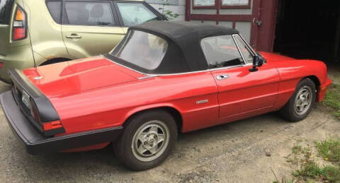 1987 Alfa Romeo Spider for sale at Classic Car Deals in Cadillac MI