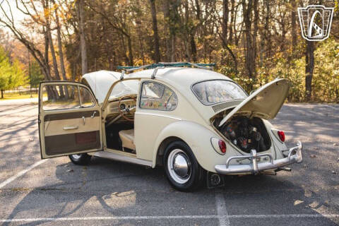 1965 Volkswagen Beetle
