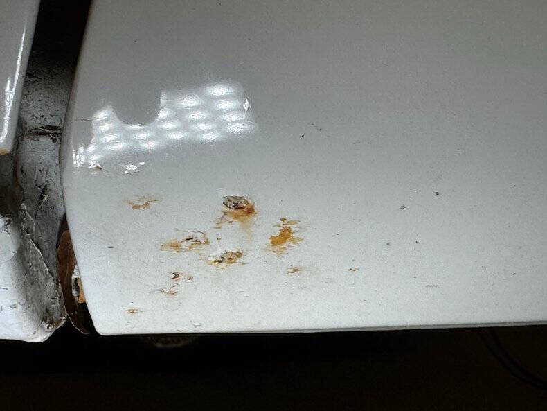 1980 Pontiac Firebird